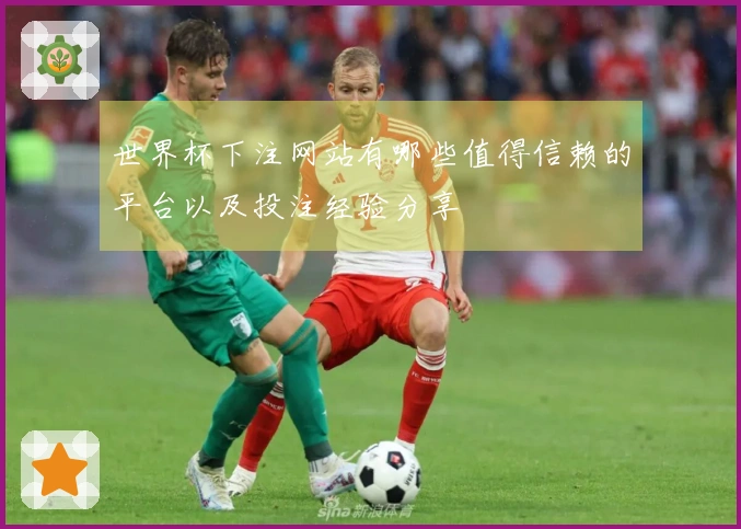 世界杯下注网站有哪些值得信赖的平台以及投注经验分享