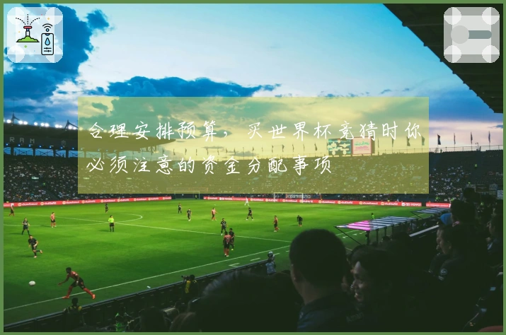 合理安排预算，买世界杯竞猜时你必须注意的资金分配事项