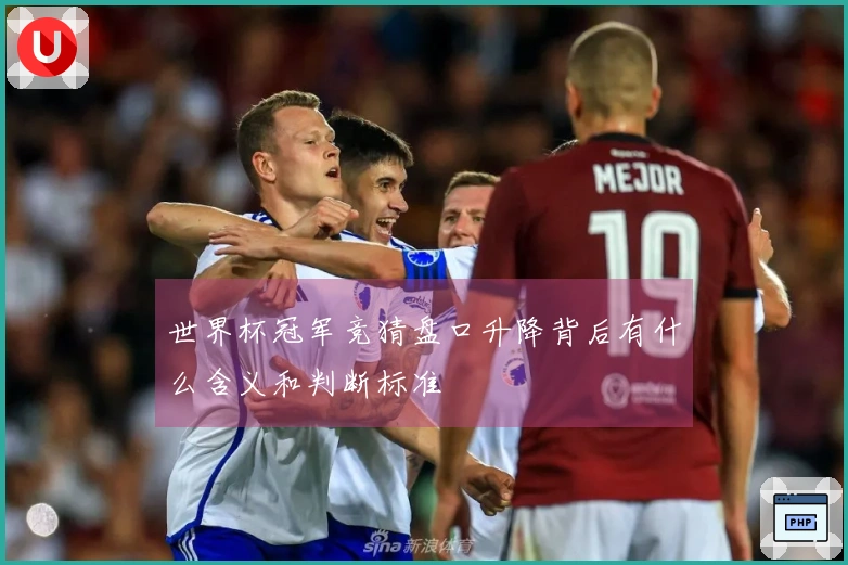 世界杯冠军竞猜盘口升降背后有什么含义和判断标准